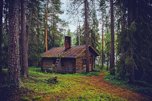 Dřevostavba